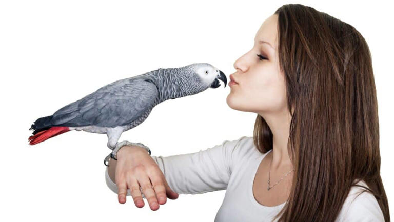 Why Learning a New Language in December Feels Like Opening a Door to ...