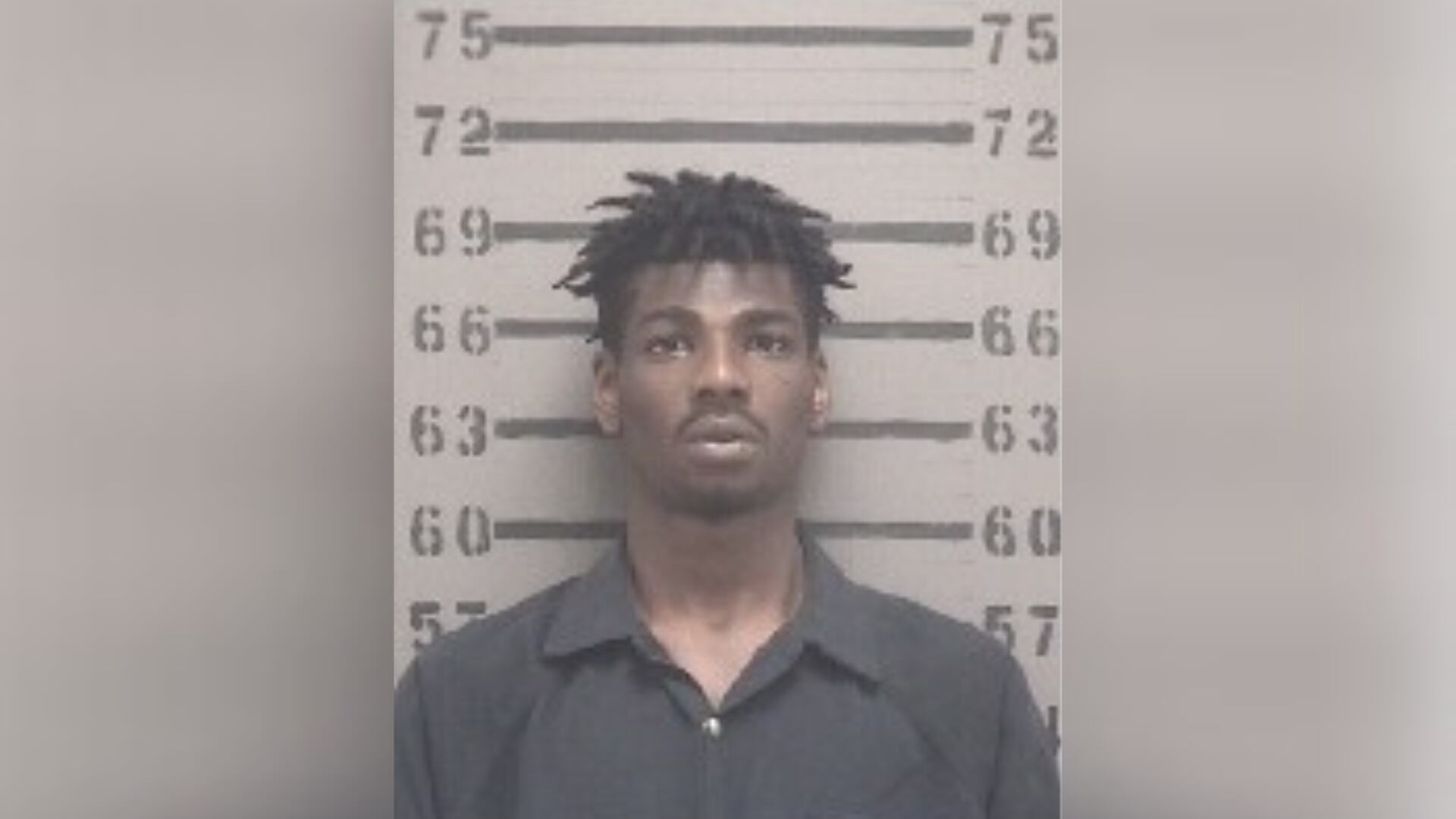 Albany murder suspect among several arrested in multi-agency search ...