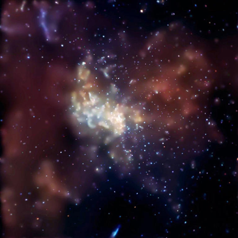 Defiant Stars And Unusual Objects Survive Against The Milky Way's