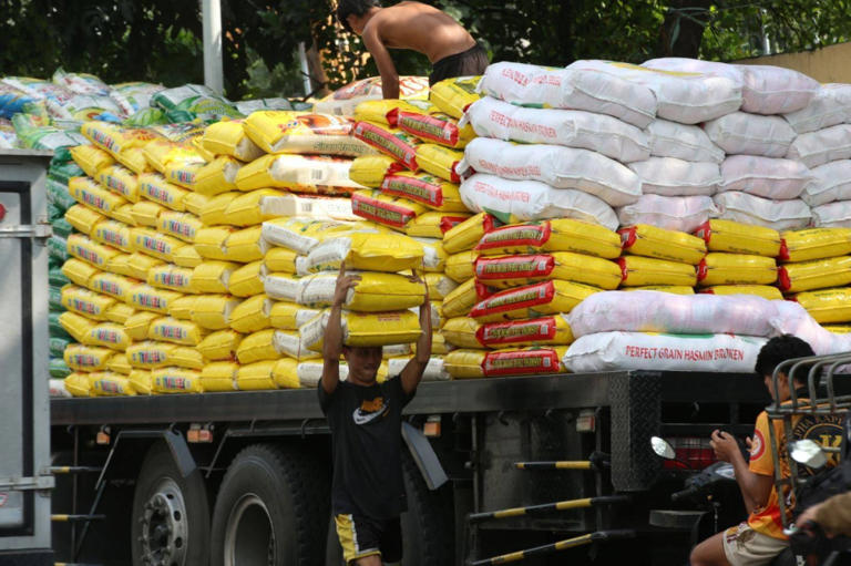 PH rice import ban seen affecting Vietnam