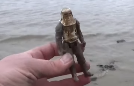 Thrilling finds on the foreshore