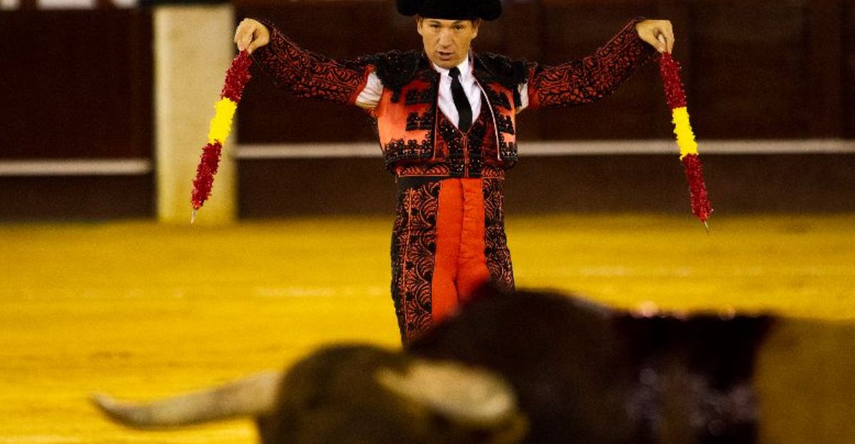 Most people think bulls charge at red—but the truth is far more ...