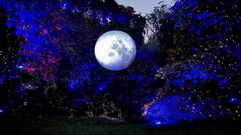 Why you should see Lightscape at the Botanical Gardens
