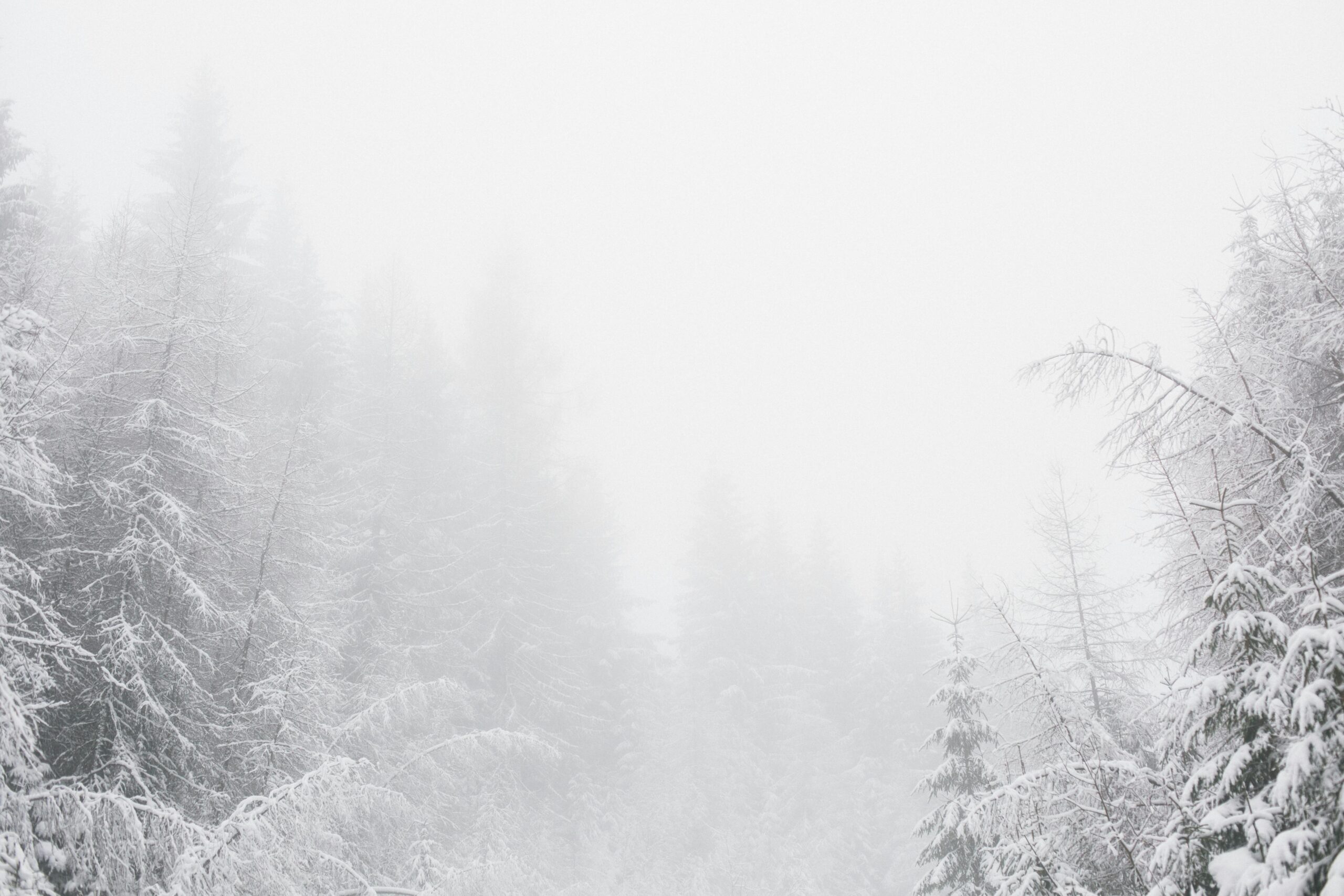 States with record snowfall