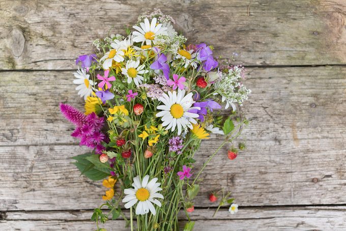 Cut Flowers Gettyimages 1396852935