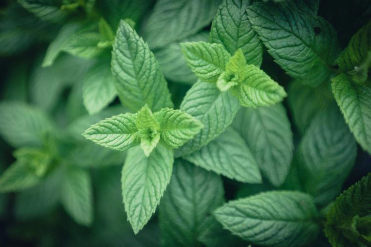 Six herbs and spices that make a meal instantly healthier, according to ...