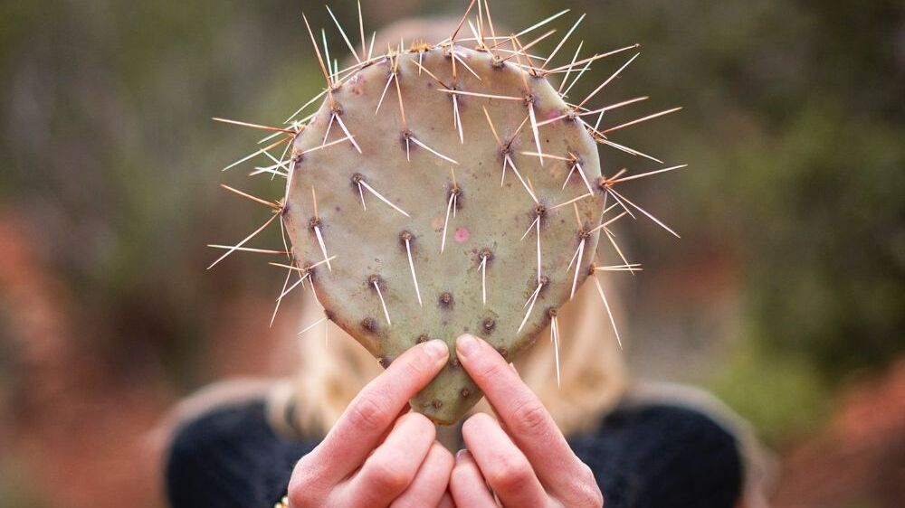 Which zodiac sign has the worst personality?