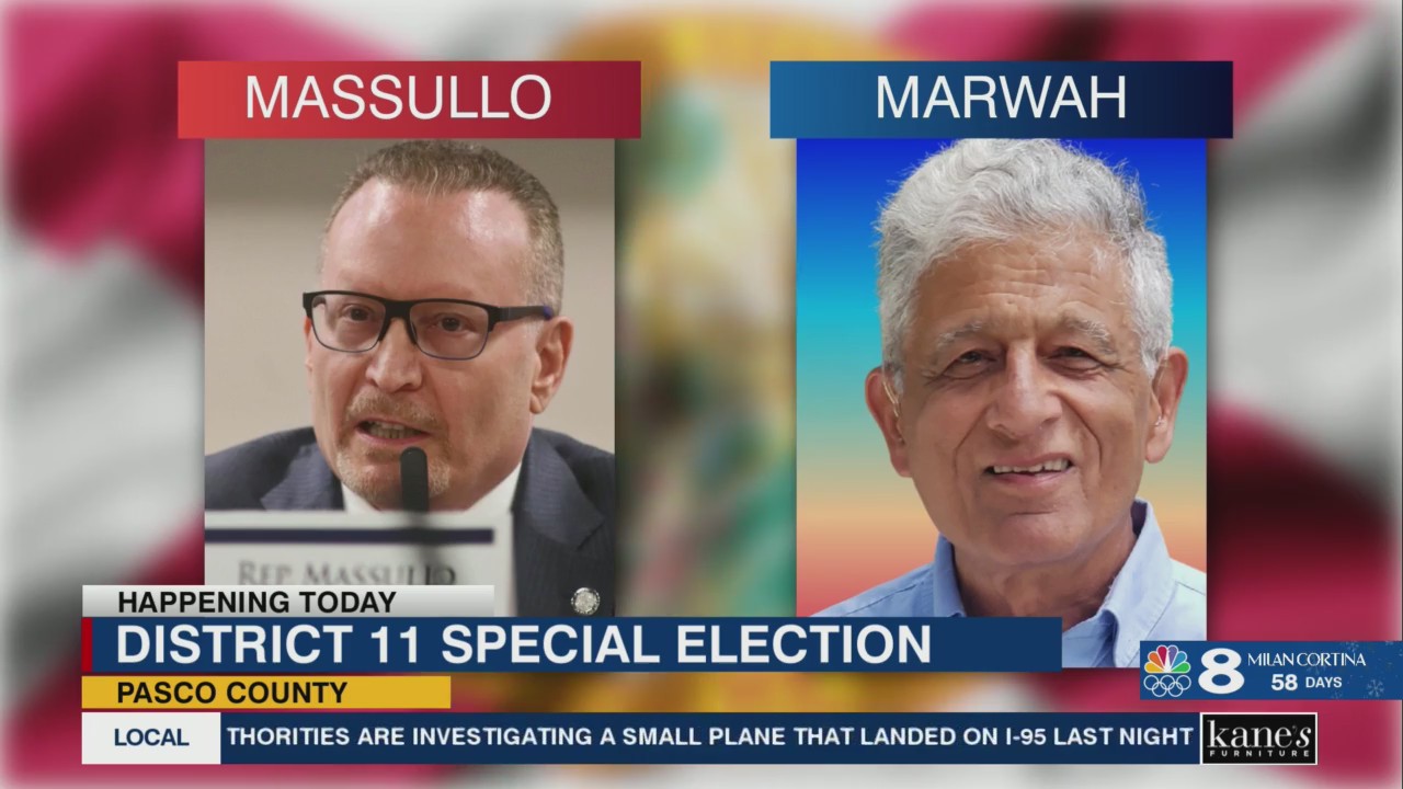 Polls open for special election to replace Ingoglia in State Senate ...