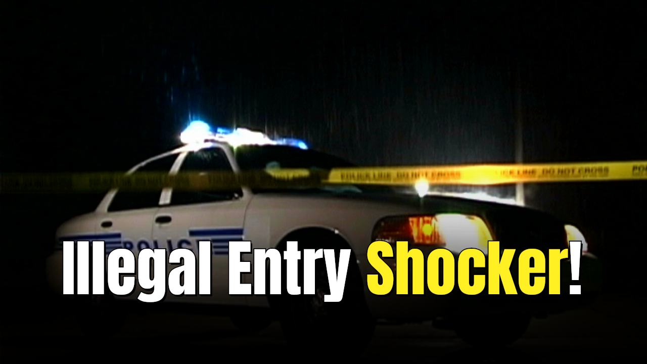 Suspect in brutal North Carolina light rail stabbing entered US ...