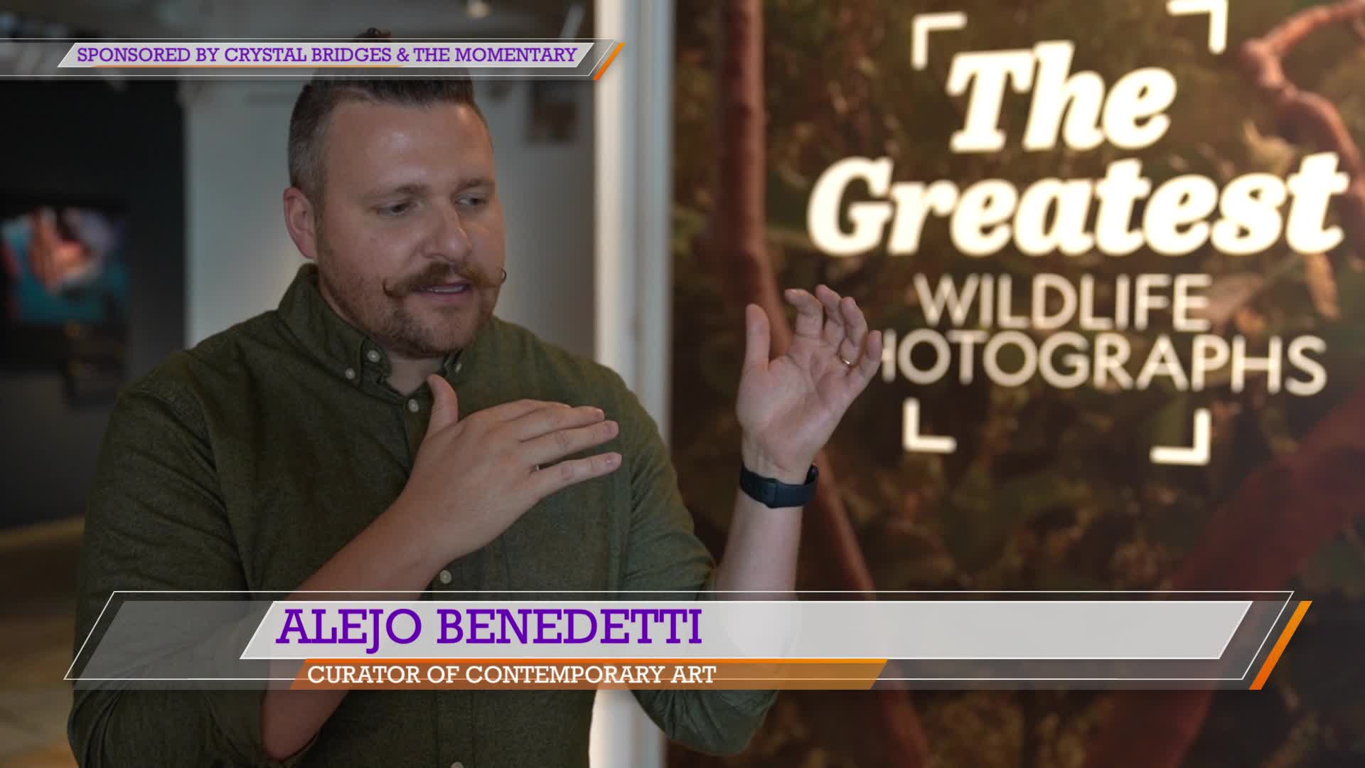 Nat Geo's greatest wildlife photographs debut at the Momentary
