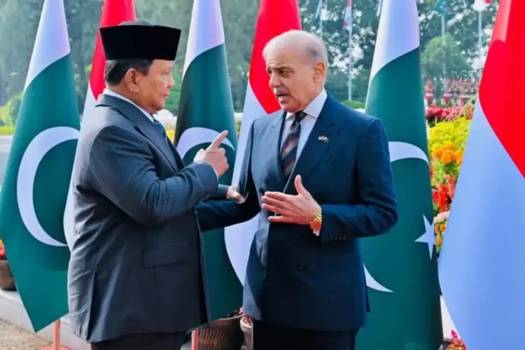 RI Kekurangan 150 Ribu Dokter, Prabowo Bermitra dengan Pakistan