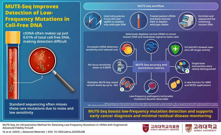 Ultrasensitive liquid biopsy method detects low-frequency cancer mutations