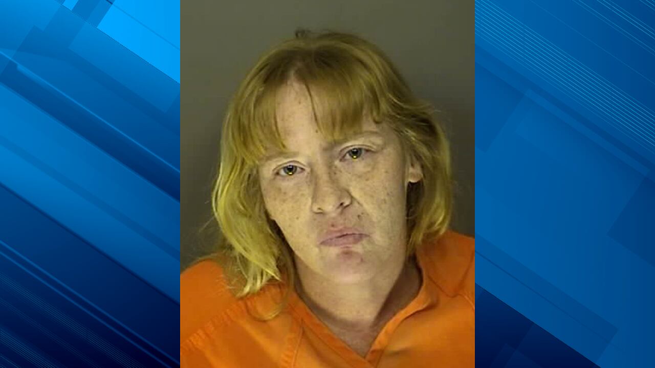 Woman accused of setting car, building on fire in Horry County