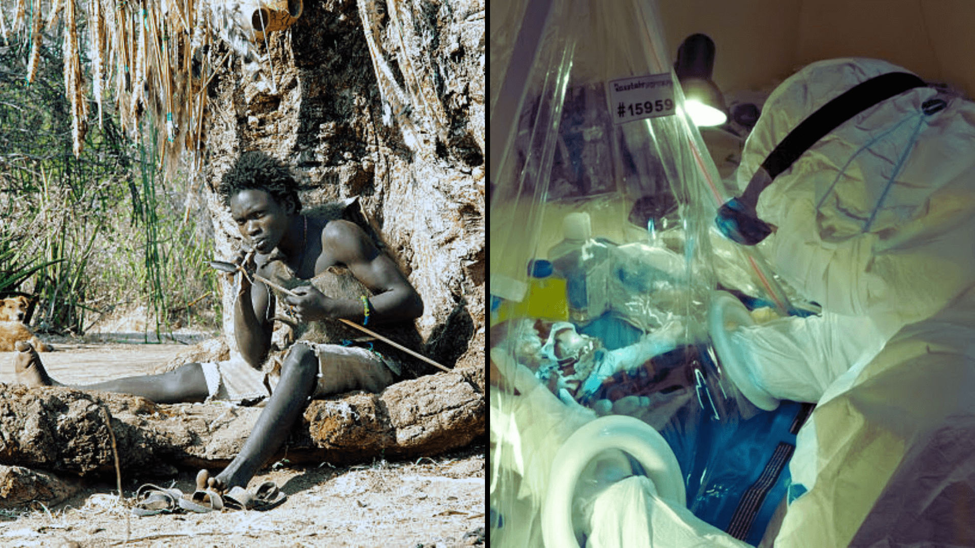 10,000-year-old genomes rewrite human evolution