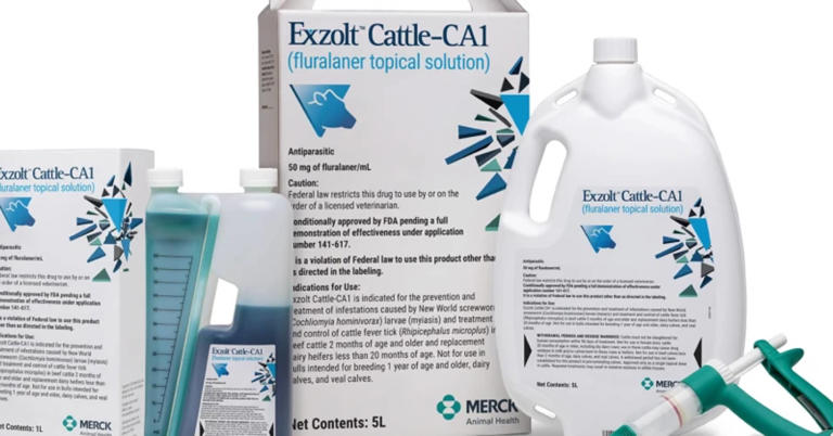 FDA approves Merck drug for decimated US cattle herds to stop screwworm
