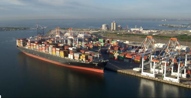 Crewmember rescued at Port Tampa Bay after being suspended upside down ...