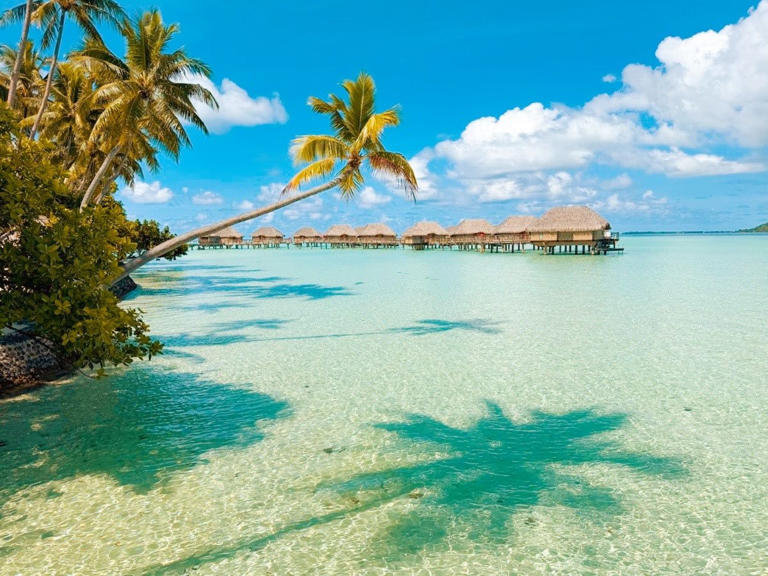 I left my Nikon at home and photographed my trip to Tahiti