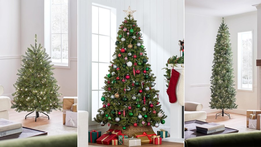 How to get, maintain a real Christmas tree this holiday season