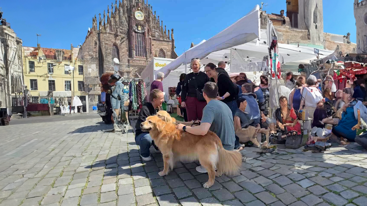 Traveling the world with two dogs and a baby<br><br>