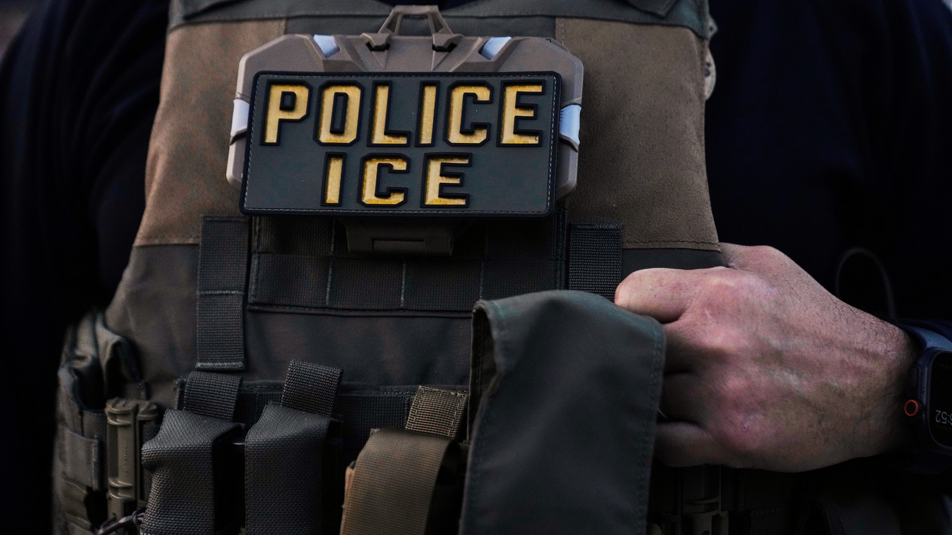 ICE data of arrests included people with no criminal histories(02)