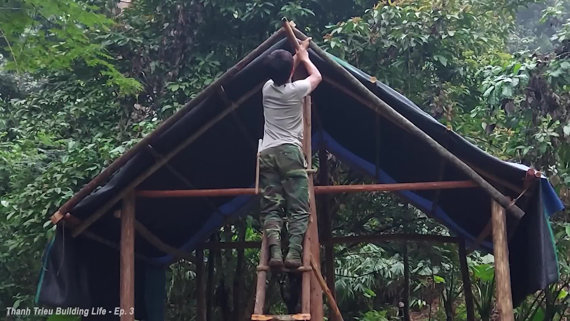 Building a new life: Wooden roof complete & 50-cow farm care!