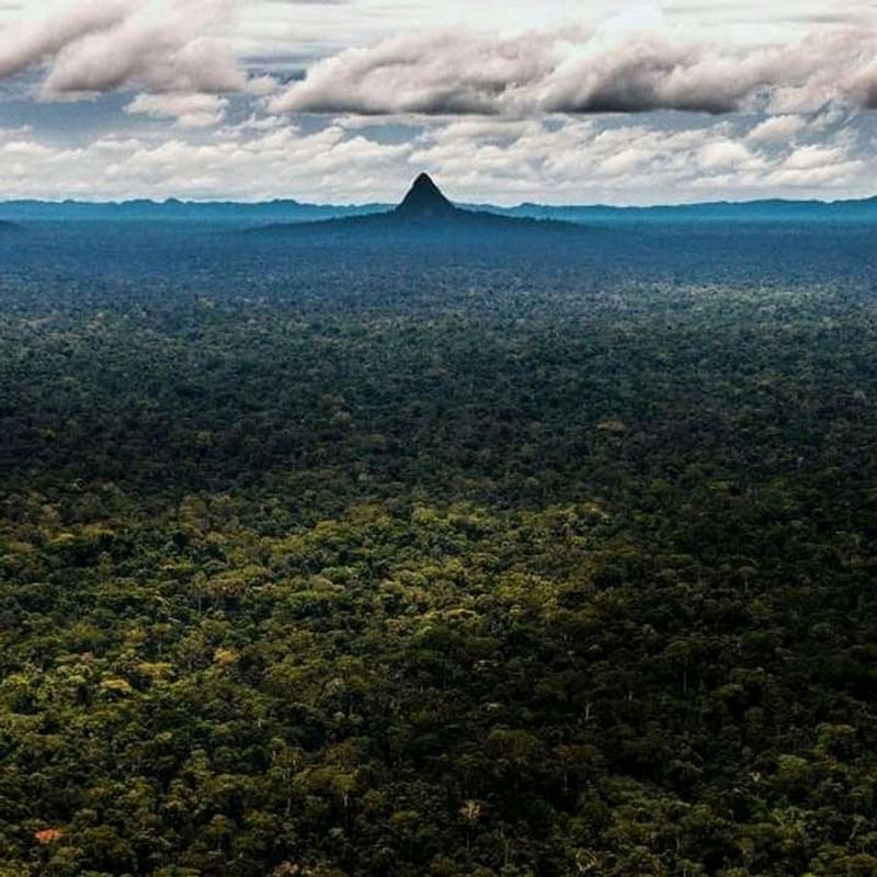 A near-perfect pyramid just appeared in the Amazon – scientists reveal ...