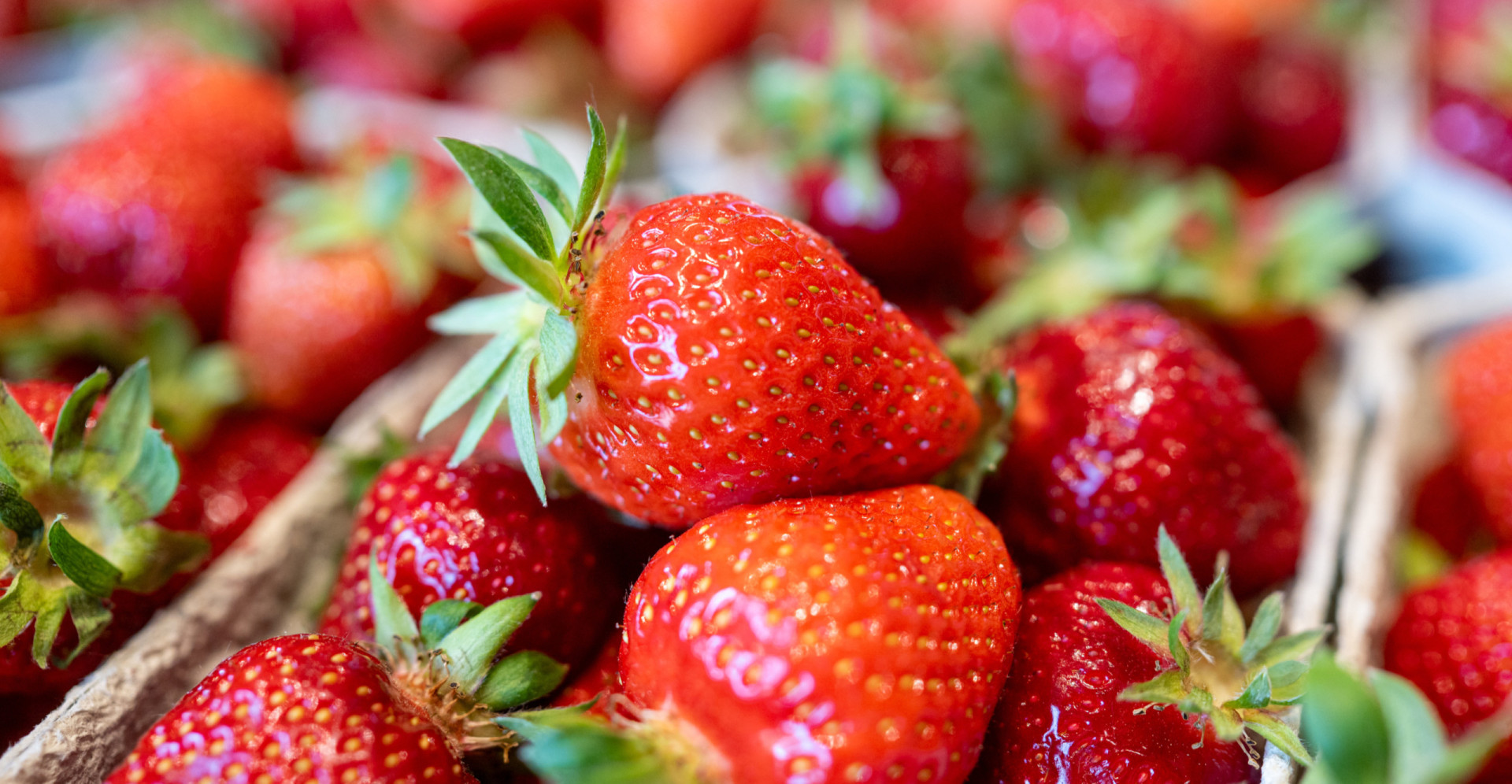Foods that contain almost no calories
