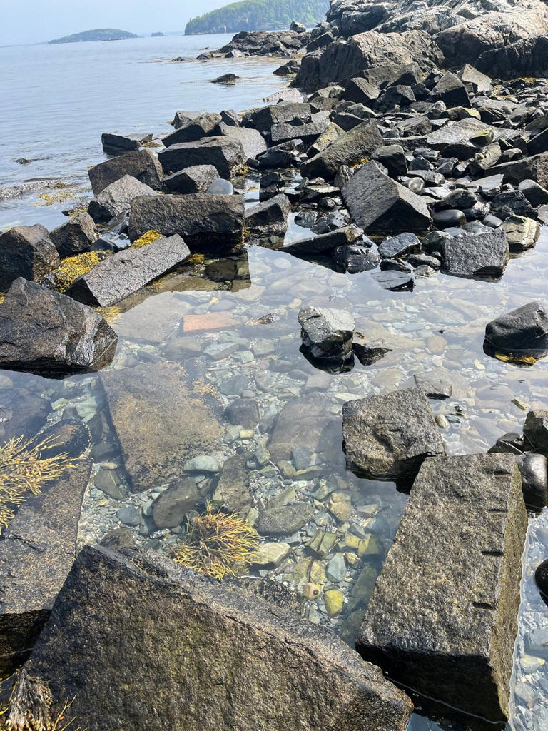 24 best things to do in Acadia National Park
