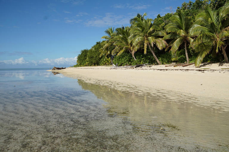 Connections between coral reefs boost their health