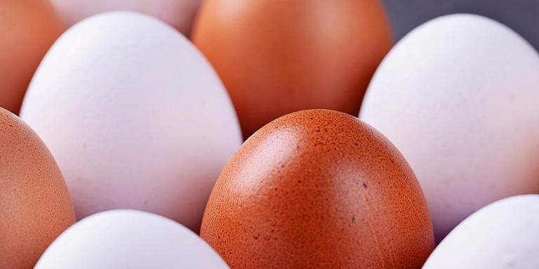 Is there a difference between brown & white eggs? An expert weighs in