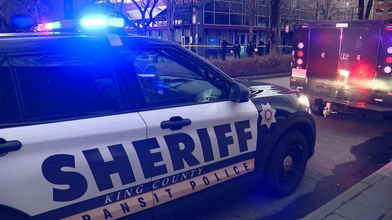 26-year-old woman dies after being struck by King County Sheriff's ...
