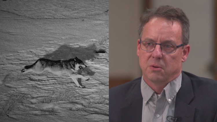 Documents show questions remain about abrupt replacement of Colorado ...