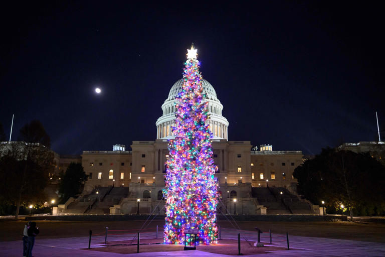 Global Christmas trees illuminate amid 2025 turmoil