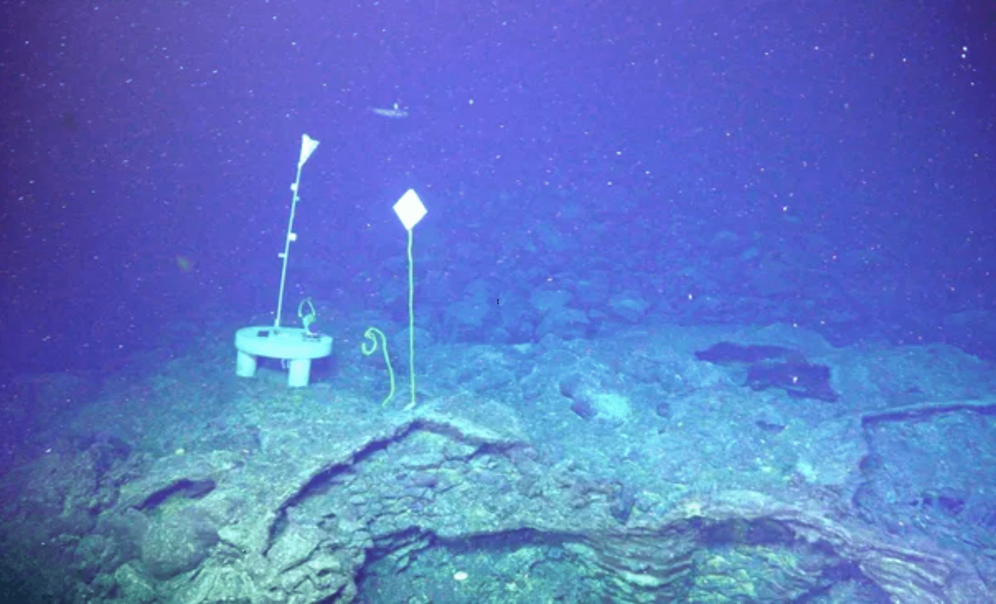 Axial Seamount set to erupt in 2026 – scientists make alarming new ...