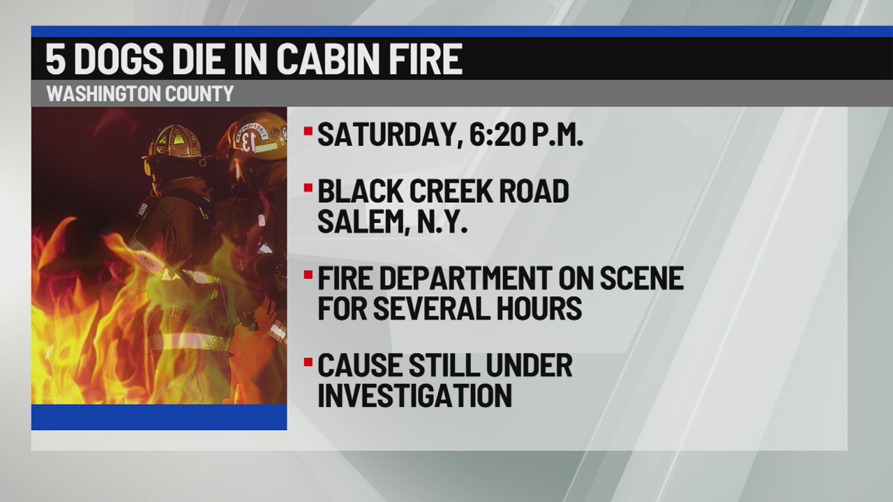 5 dogs die in Salem cabin fire