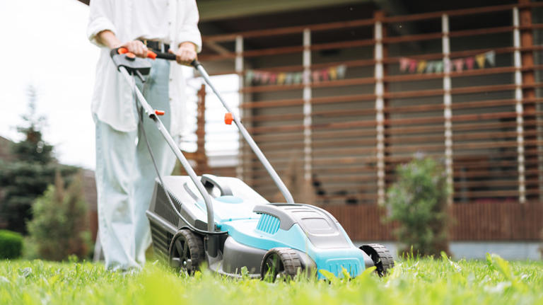 The genius lawn mower pool noodle hack you'll wish you tried sooner