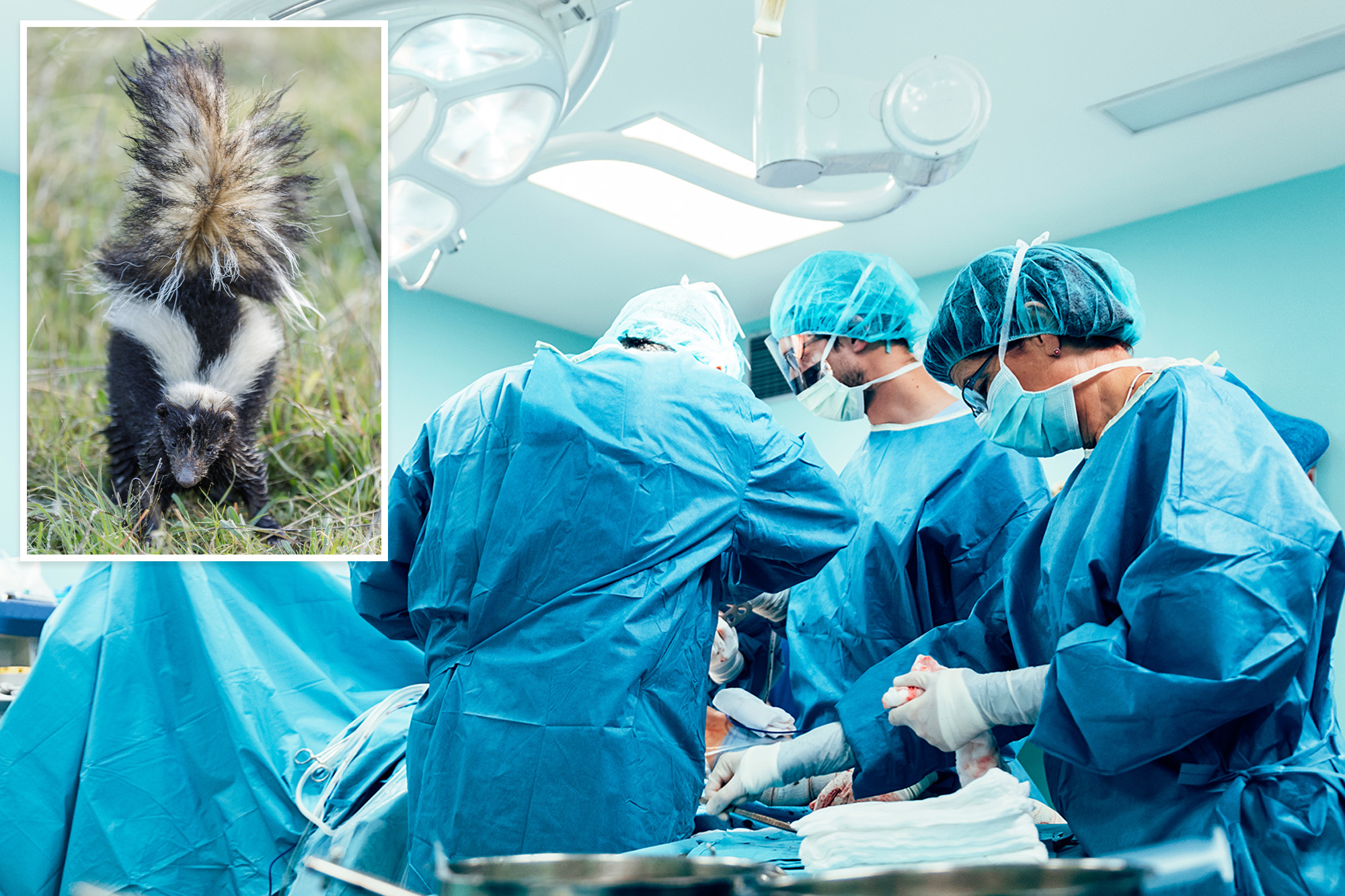 Michigan man dies of rabies he contracted from kidney transplant donor ...