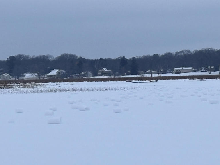 Snow rollers spotted in West Michigan: Here’s what they are