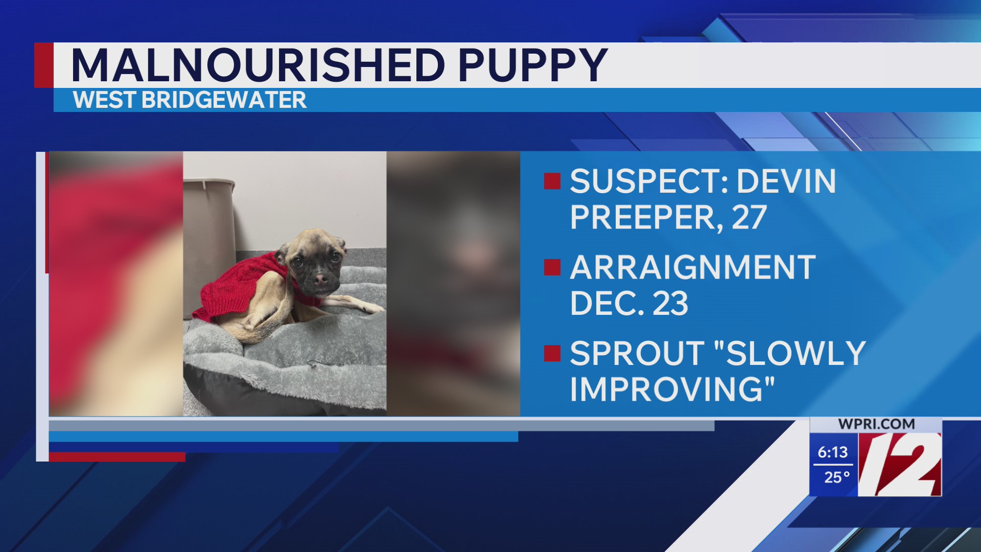 Police ID Taunton man found with emaciated dog