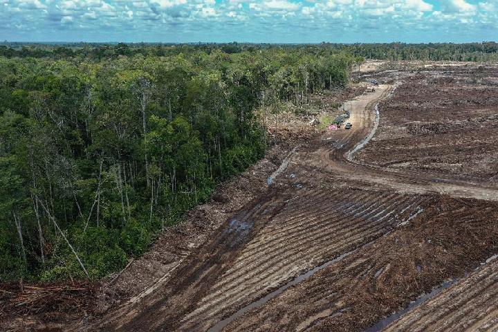 Kemenkeu Alokasikan Rp23,7 Triliun untuk Lumbung Pangan di APBN 2026