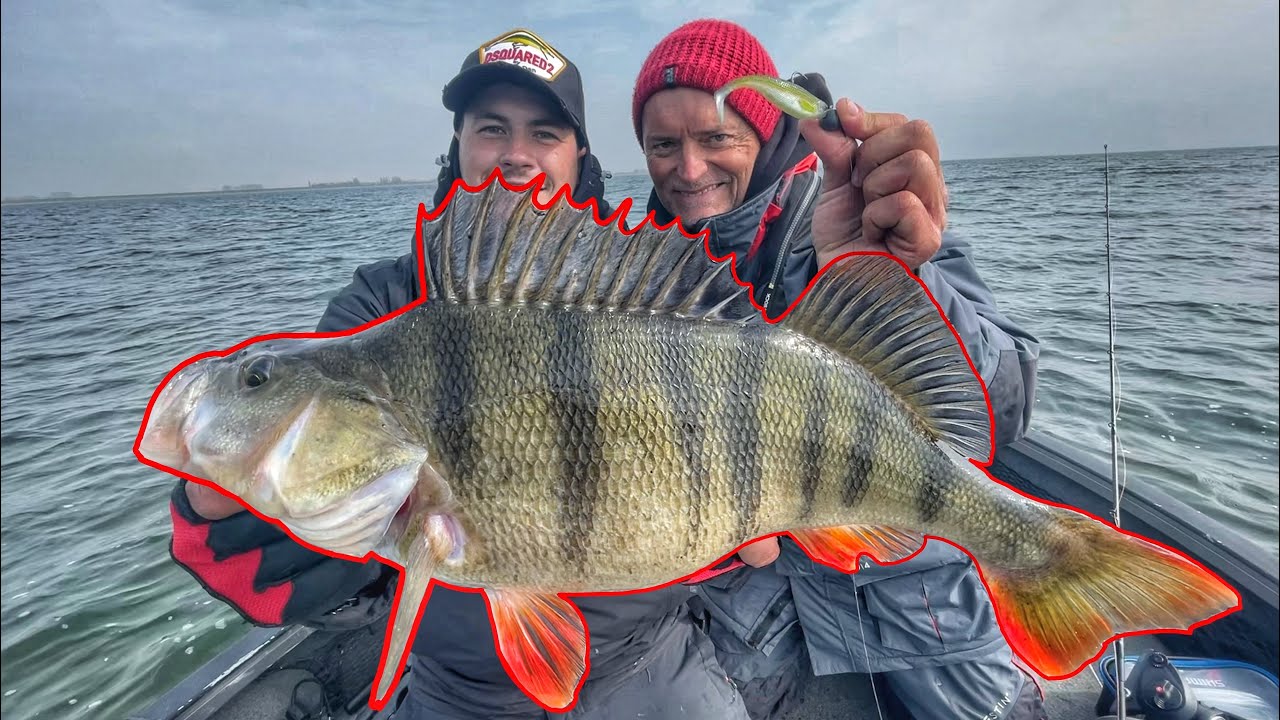XXL-Barsche mit dem Raubfischweltmeister!