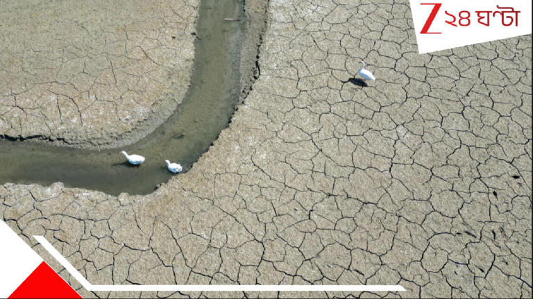 Second Hottest Year: বছর-বছর লাফিয়ে বাড়ছে তাপমাত্রা! এবার বিশ্ব ইতিহাসের দ্বিতীয় বা তৃতীয় উষ্ণতম বছর হতে চলেছে এই সালটি…