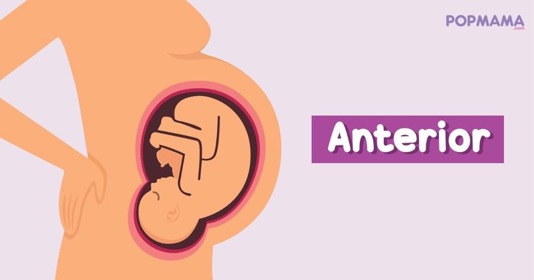 Mama Harus Tahu, Posisi Janin dalam Kandungan