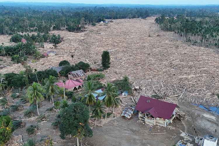 JATAM Sebut Panja Alih Fungsi Lahan DPR Hanya Pemanis di Tengah Bencana Sumatera