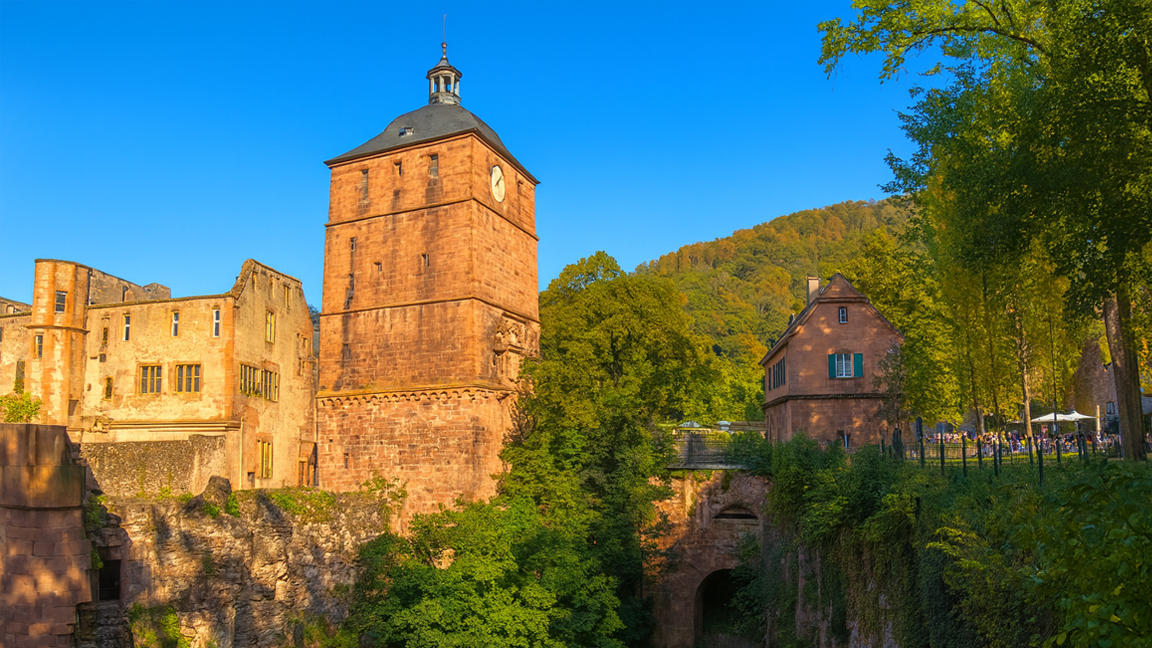 Promenade autour du château de Heidelberg