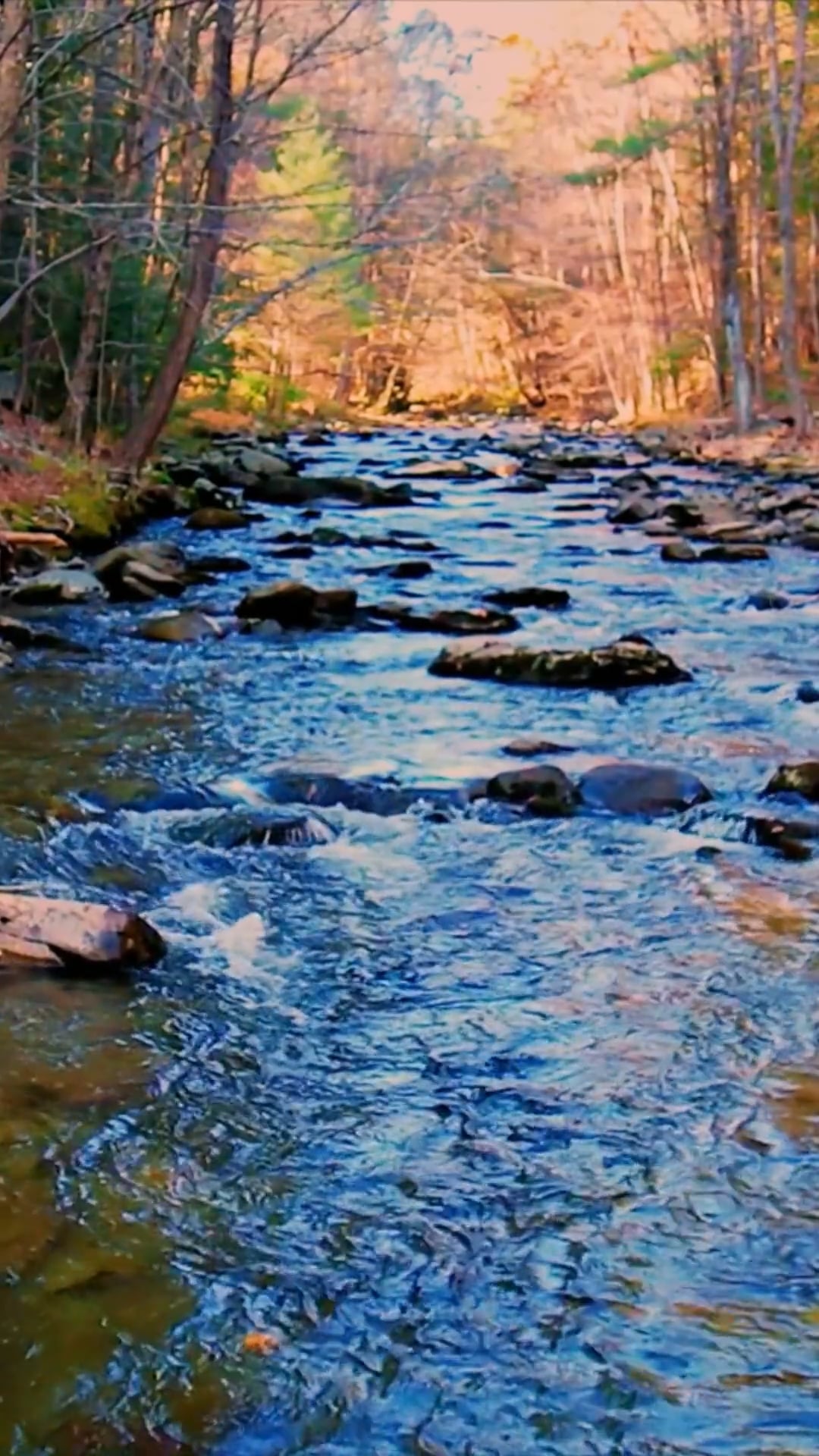 River trails and hilltop hues: Appalachian mountain majesty
