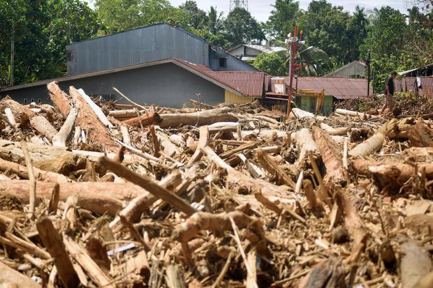 Kasus Kayu Gelondongan di Sumut Ditetapkan sebagai Penyidikan