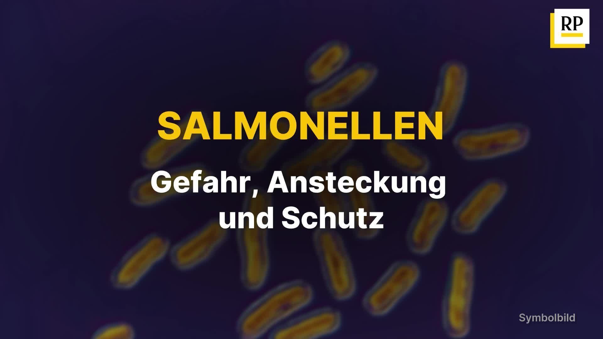 Faszinierend Salmonellen Test Apotheke Bilder