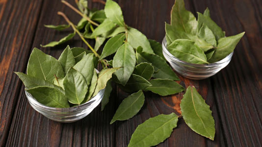 Cómo hacer el ritual de agua y laurel antes de fin de año para las buenas energías y atraer la fortuna Fuente: Archivo