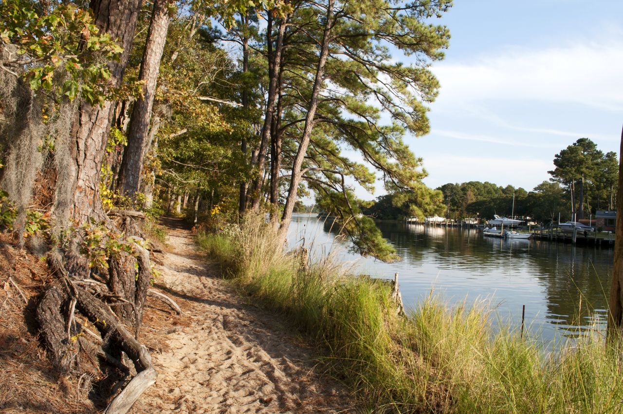 First Landing State Park Trail